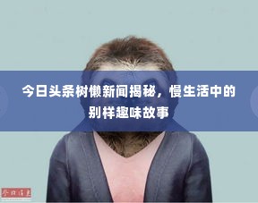 今日头条树懒新闻揭秘，慢生活中的别样趣味故事
