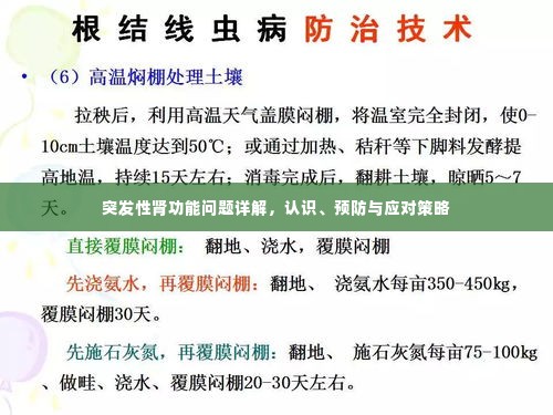 突发性肾功能问题详解，认识、预防与应对策略