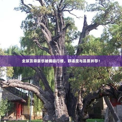 全球顶级豪华被褥排行榜，舒适度与品质并存！