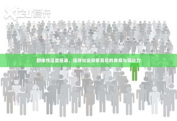 群体性深度报道，探寻社会现象背后的真相与驱动力