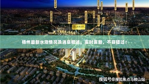 梧州最新水涨情况及消息概述，实时更新，不容错过！