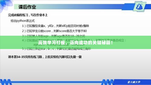 高效学习打板，迈向成功的关键秘籍！