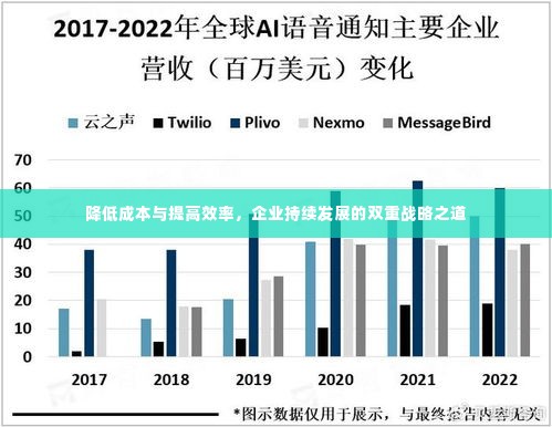 降低成本与提高效率，企业持续发展的双重战略之道