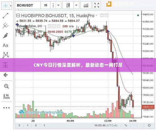 CNY今日行情深度解析，最新动态一网打尽