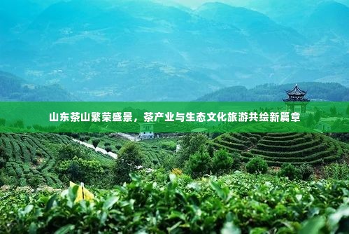 山东茶山繁荣盛景，茶产业与生态文化旅游共绘新篇章