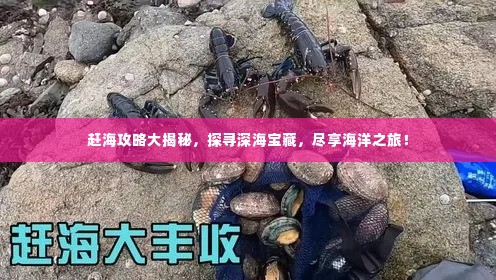 赶海攻略大揭秘，探寻深海宝藏，尽享海洋之旅！