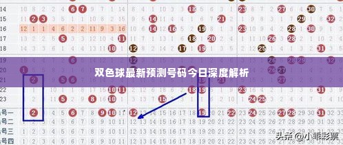 双色球最新预测号码今日深度解析