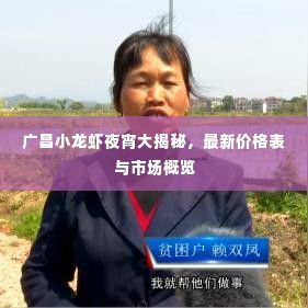 广昌小龙虾夜宵大揭秘，最新价格表与市场概览