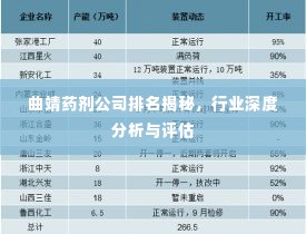 曲靖药剂公司排名揭秘，行业深度分析与评估