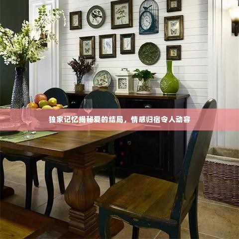 独家记忆揭秘爱的结局，情感归宿令人动容
