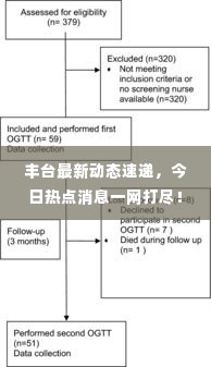 丰台最新动态速递，今日热点消息一网打尽！