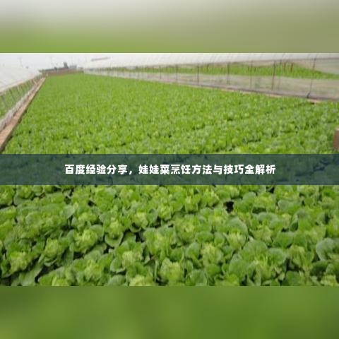 衣不兼采 第2页