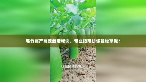 毛竹高产高效栽培秘诀，专业指南助你轻松掌握！
