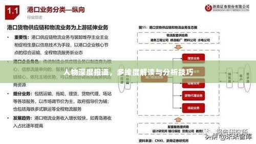 人物深度报道，多维度解读与分析技巧