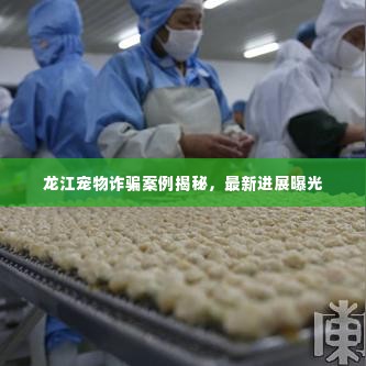 龙江宠物诈骗案例揭秘，最新进展曝光