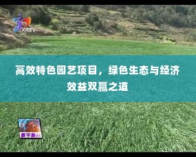 高效特色园艺项目，绿色生态与经济效益双赢之道