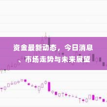 资金最新动态，今日消息、市场走势与未来展望