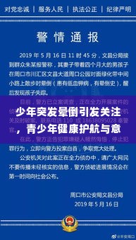 少年突发晕倒引发关注，青少年健康护航与意外预防