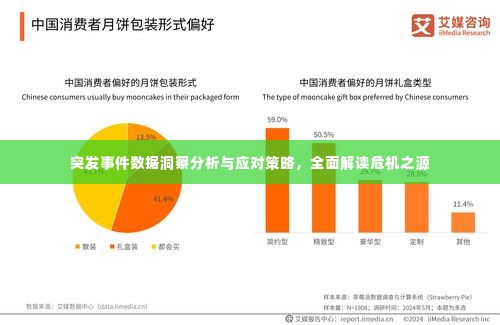 突发事件数据洞察分析与应对策略，全面解读危机之源