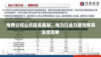 电网公司公示排名揭秘，电力行业力量与格局深度洞察