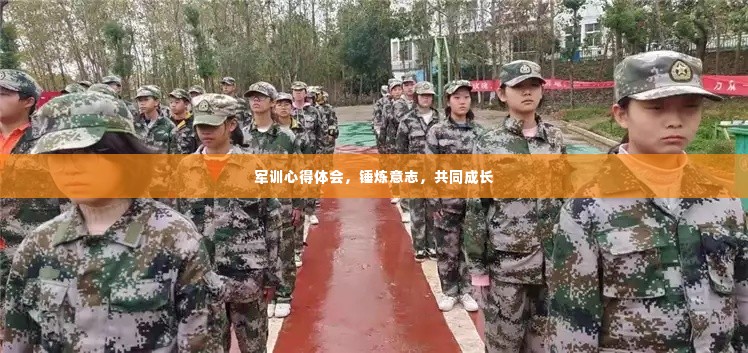 军训心得体会，锤炼意志，共同成长