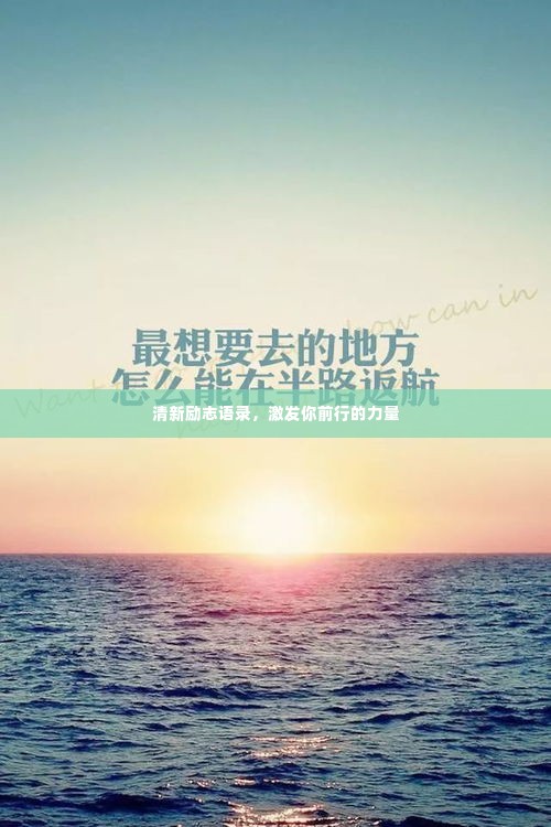 清新励志语录，激发你前行的力量