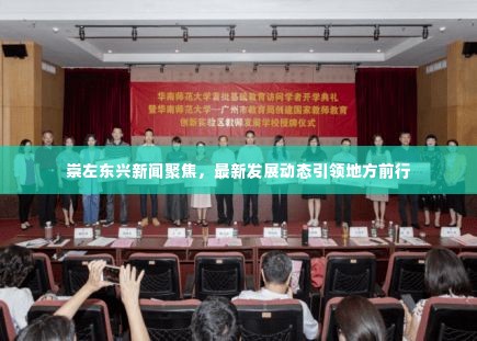 崇左东兴新闻聚焦，最新发展动态引领地方前行