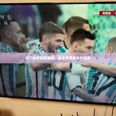 冷门独家阵容揭秘，战术世界的未知探索