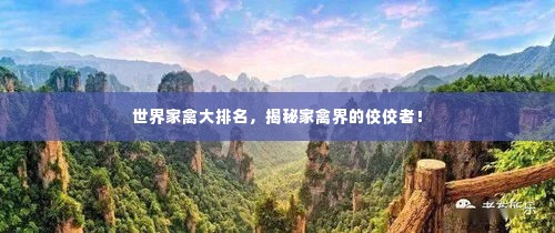 世界家禽大排名，揭秘家禽界的佼佼者！