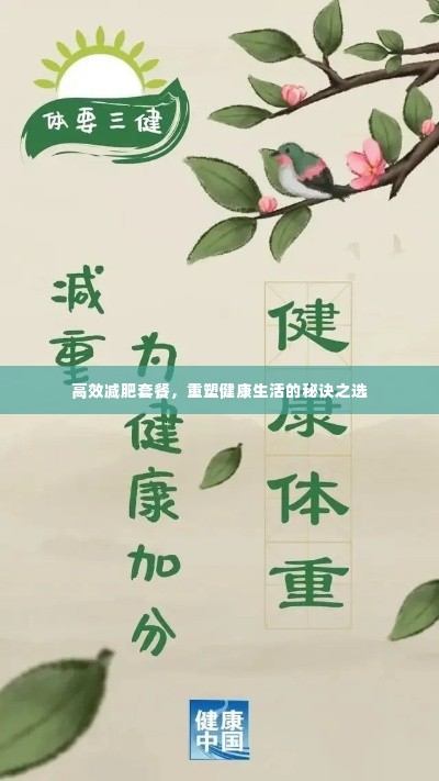 高效减肥套餐，重塑健康生活的秘诀之选
