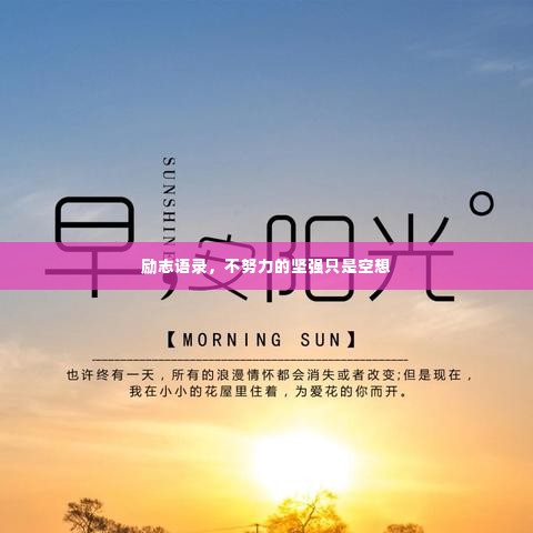励志语录，不努力的坚强只是空想