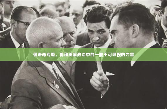 佩洛希专题，揭秘美国政治中的一股不可忽视的力量