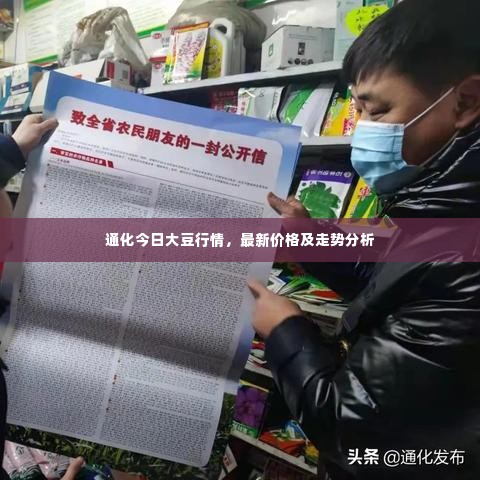 通化今日大豆行情，最新价格及走势分析
