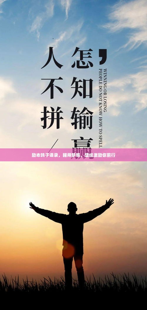 励志鸽子语录，翱翔梦想，壁纸激励你前行