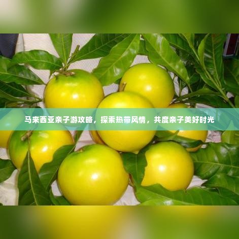 马来西亚亲子游攻略，探索热带风情，共度亲子美好时光