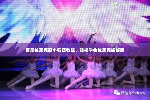 百度独家舞蹈小铃铛教程，轻松学会优美舞姿秘籍