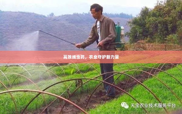 高效线虫药，农业守护新力量