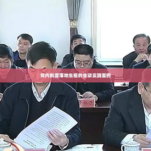 党内制度落地生根的生动实践案例