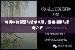 诗词中的智慧与情感交融，深度探索与思考之旅