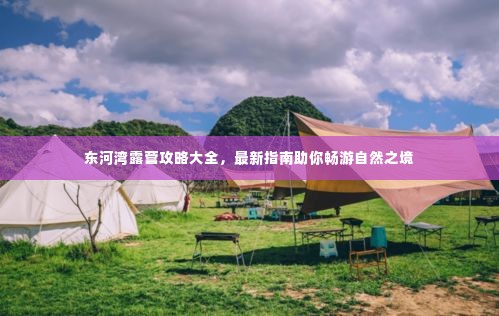 东河湾露营攻略大全，最新指南助你畅游自然之境