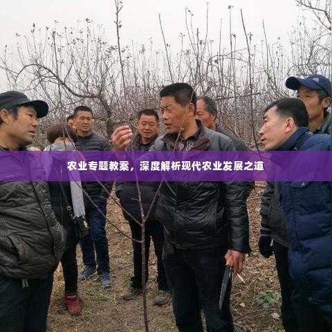 农业专题教案，深度解析现代农业发展之道