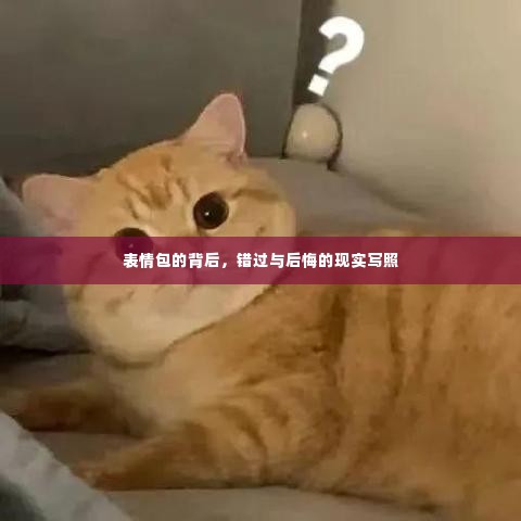 表情包的背后，错过与后悔的现实写照