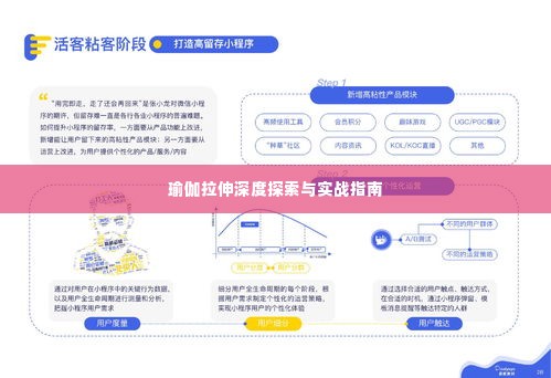 瑜伽拉伸深度探索与实战指南