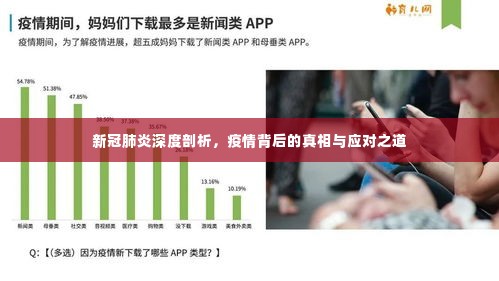 新冠肺炎深度剖析，疫情背后的真相与应对之道