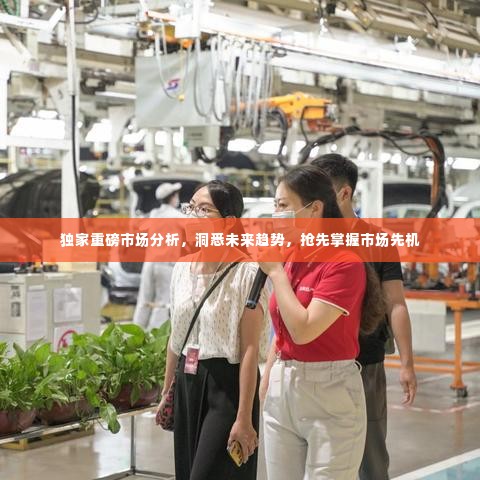 独家重磅市场分析，洞悉未来趋势，抢先掌握市场先机