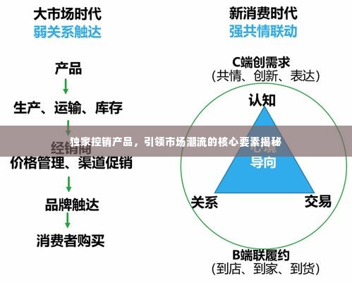 独家控销产品，引领市场潮流的核心要素揭秘