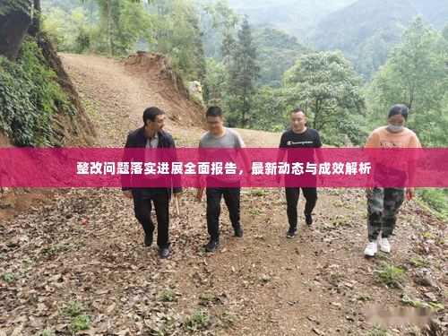 整改问题落实进展全面报告，最新动态与成效解析