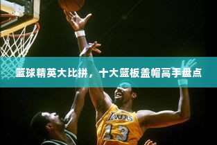 篮球精英大比拼，十大篮板盖帽高手盘点