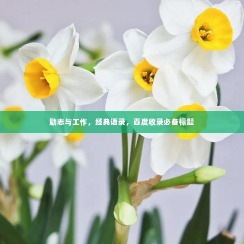 励志与工作，经典语录，百度收录必备标题