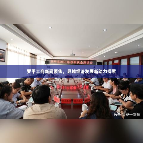 罗平工商新闻聚焦，县域经济发展新动力探索